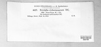 Image Associated With the Occurence